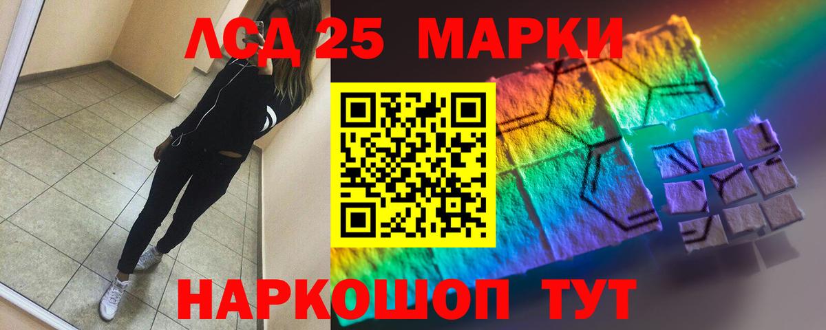 Альфа ПВП Светлоград