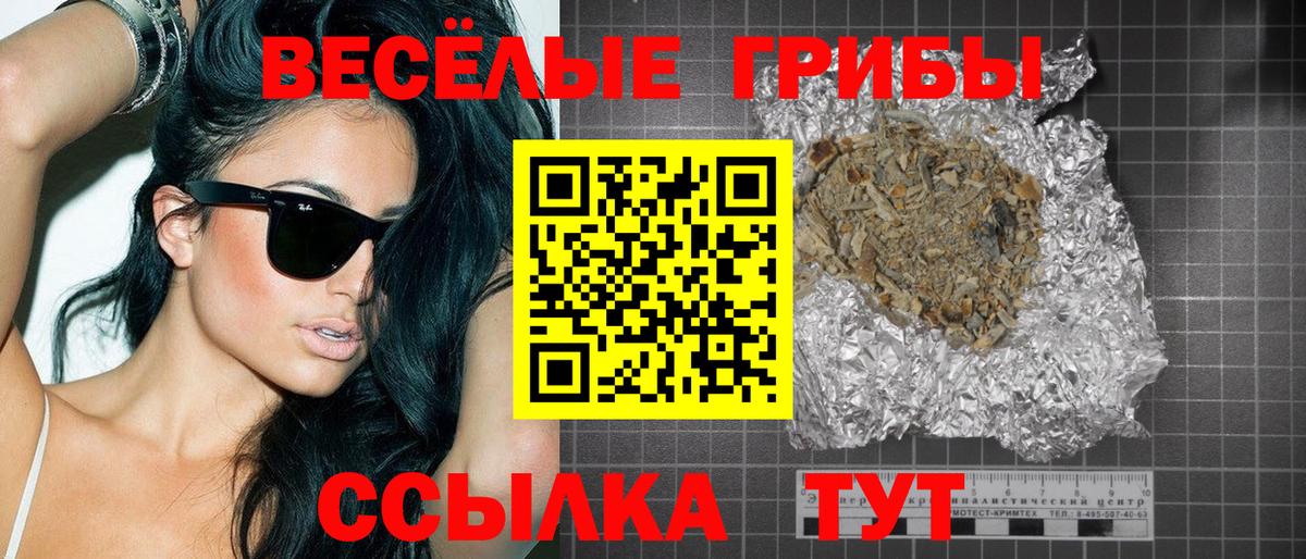 Светлоград  Галлюциногенные грибы мицелий  Галлюциногенные грибы ЛСД  Вход с VPN 